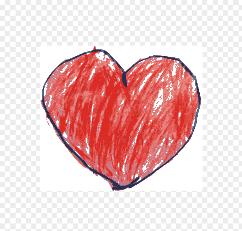 Heart Essential Of Human Anatomy And Physiology Clip Art PNG
