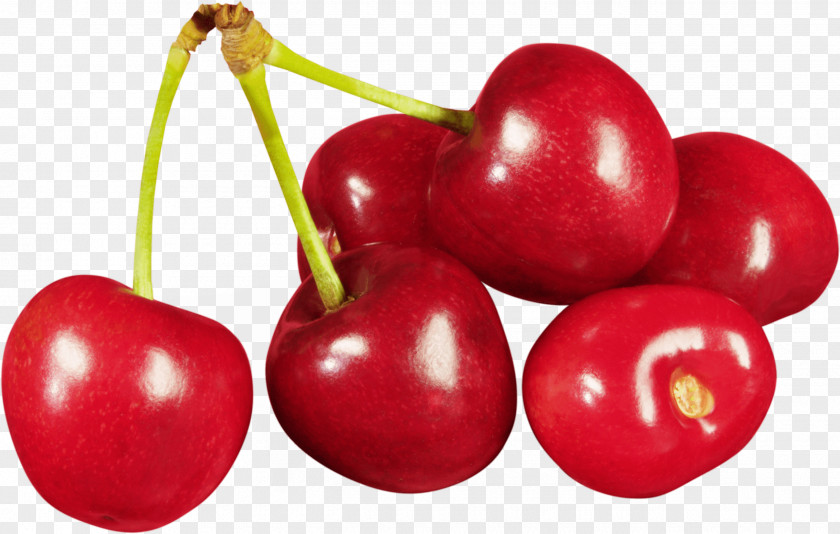 Red Cherry Image Download Sour Clip Art PNG