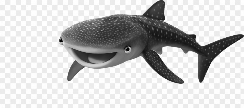 Shark Requiem Sharks Marine Mammal Biology Wildlife PNG