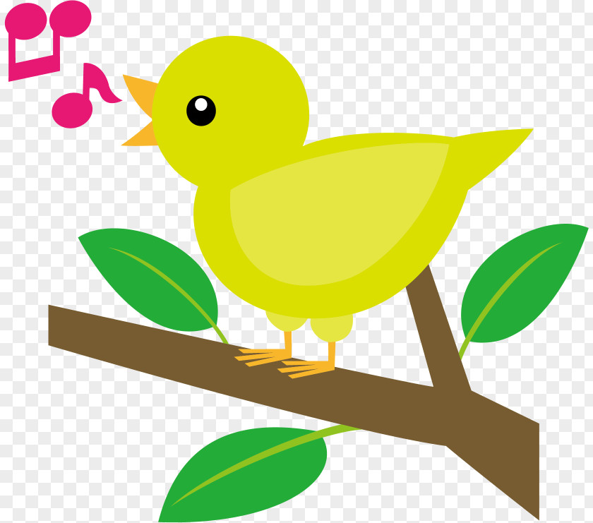 Bird Illustration Clip Art Swans Song PNG