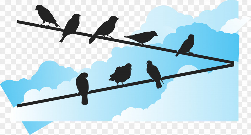 Blue Sky Under The Bird Vector Euclidean Wire PNG