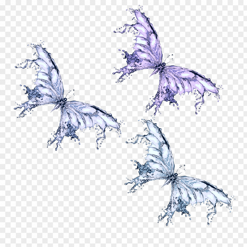 Butterfly Water Clip Art PNG