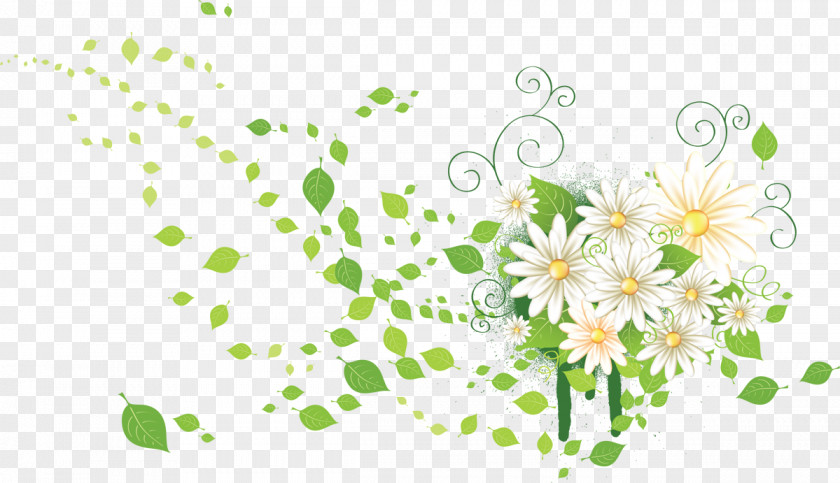 Chamomile Flower Raster Graphics Clip Art PNG