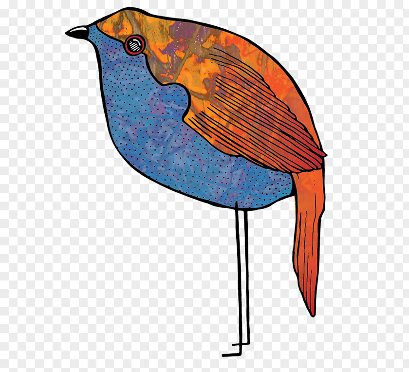 Feather Beak Fish Clip Art PNG