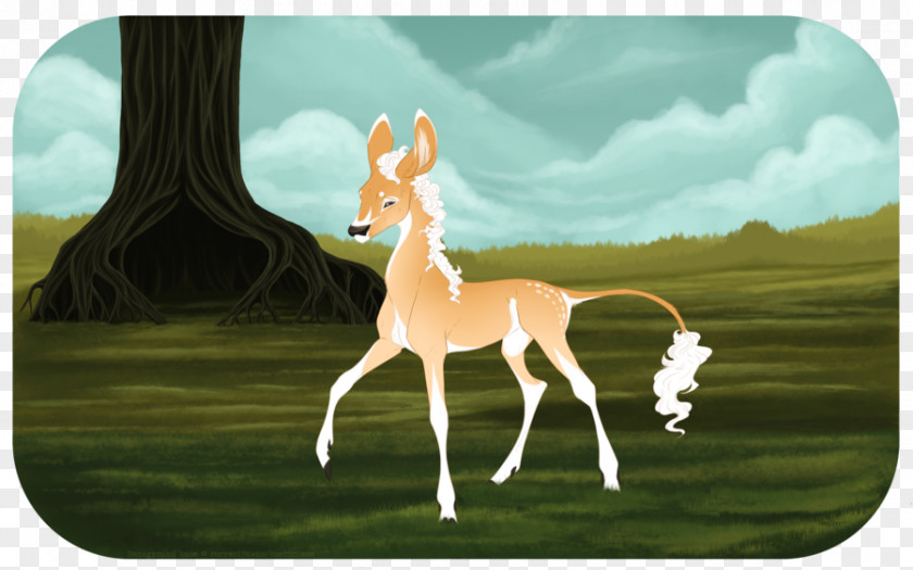 Hind DeviantArt Deer Foal Antelope PNG