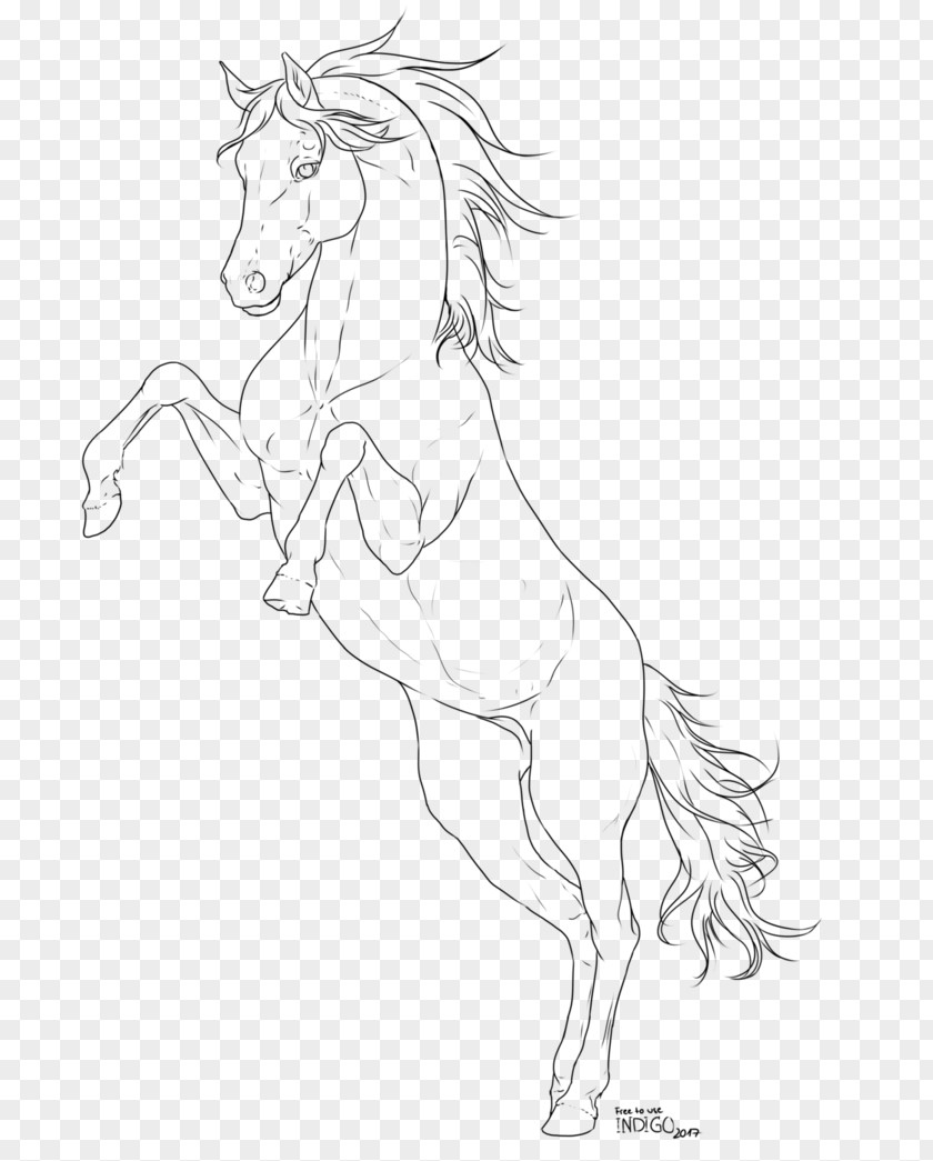 Mustang Arabian Horse Line Art Pony Sketch PNG