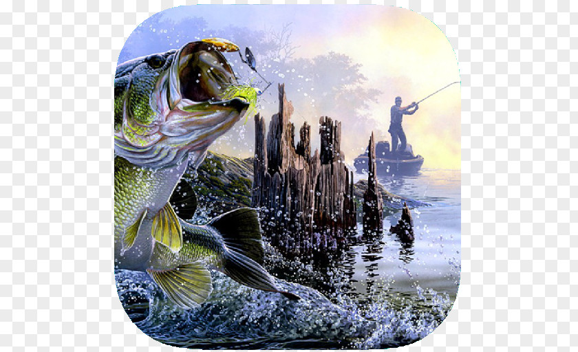 Painting Largemouth Bass Fishing Art PNG