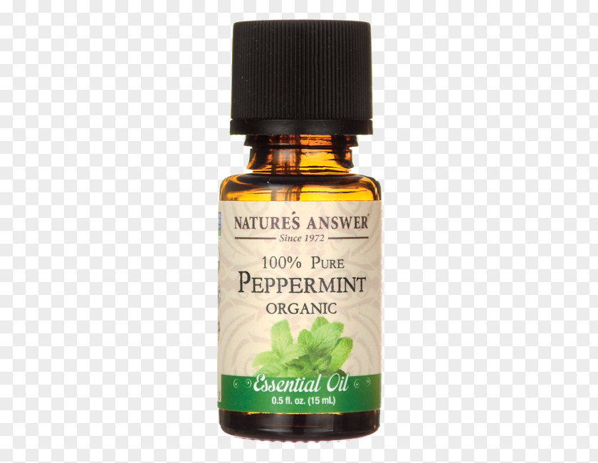 Peppermint Watercolor Fluid Ounce Essential Oil Milliliter Técnica De Relaxamento PNG