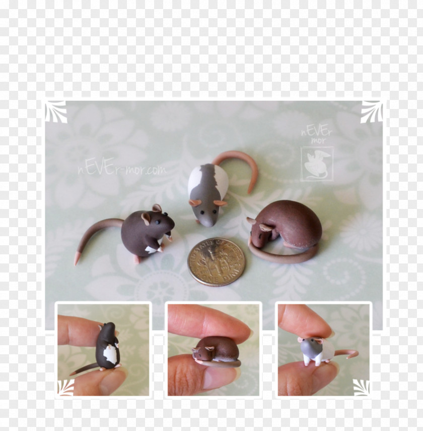 Pet Rat Artist Work Of Art DeviantArt DUMBO PNG