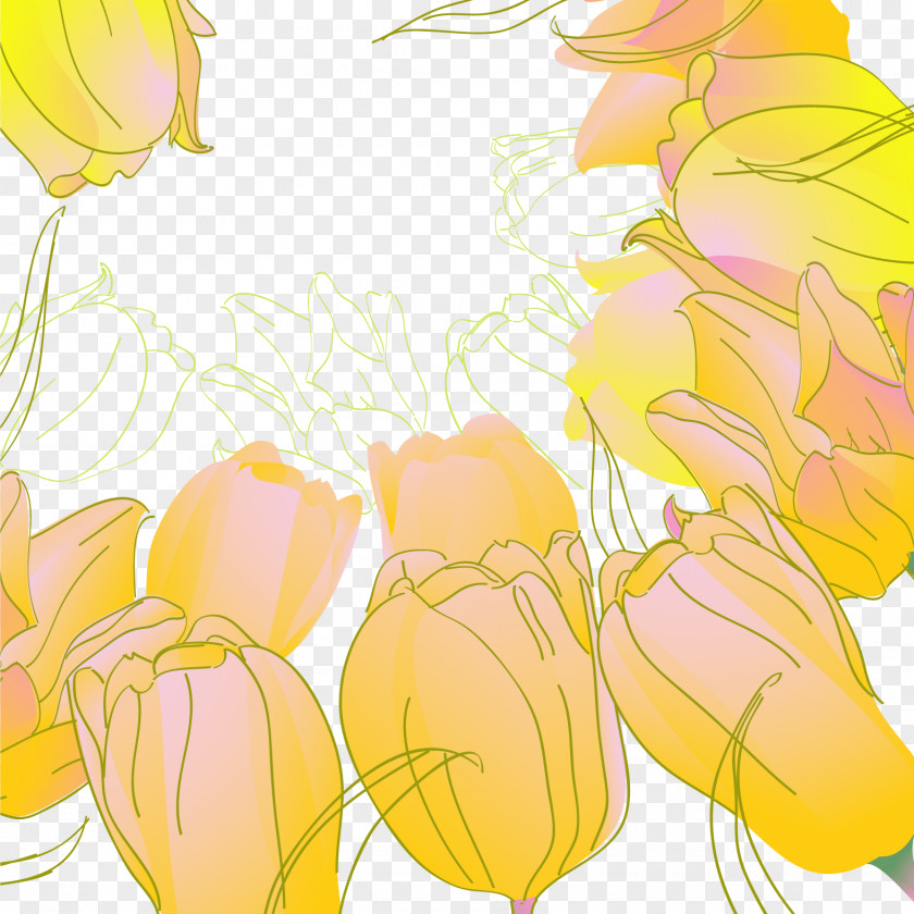 Vector Hand Painted Tulips 5 Euclidean Tulip Flower PNG