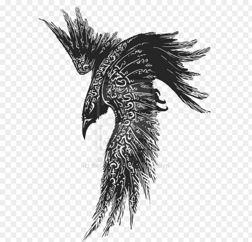 Darking In The Frankxx White Raven Tattoo Common Odin Ink PNG