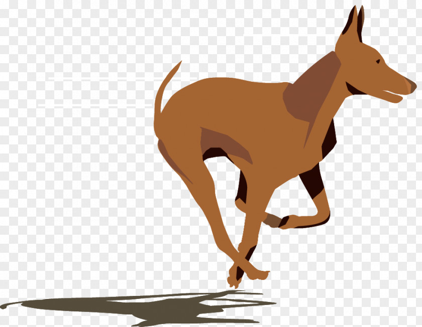 Dog Breed Italian Greyhound Clip Art Leash PNG