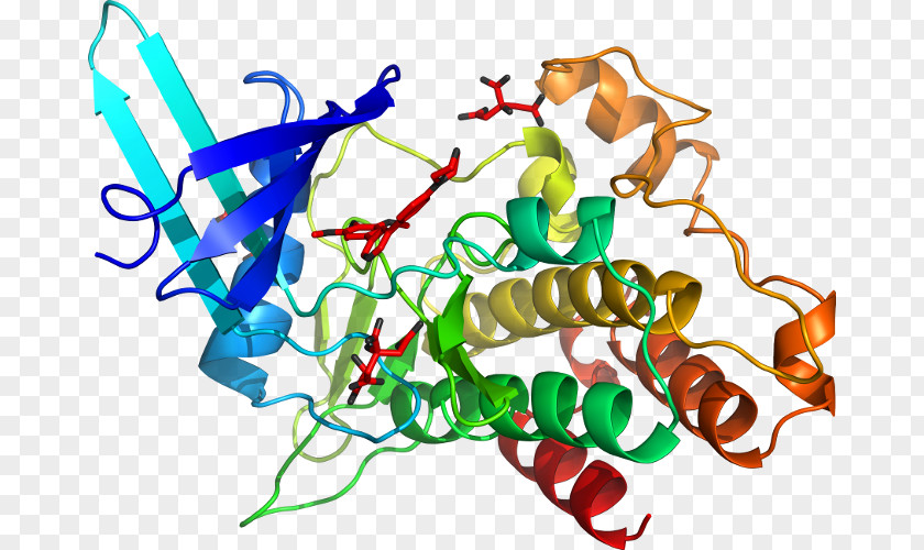 GSK-3 Glycogen Synthase Kinase GSK3B GSK3A Protein PNG