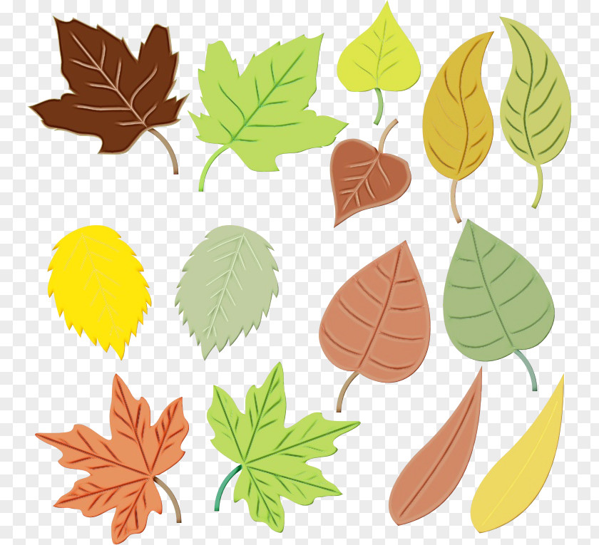 Herbaceous Plant Flower Autumn Tree Silhouette PNG