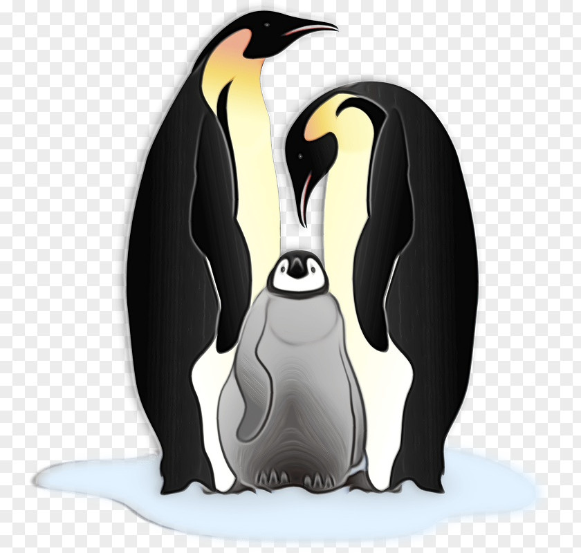 King Penguin Penguins Birds Flightless Bird Beak PNG