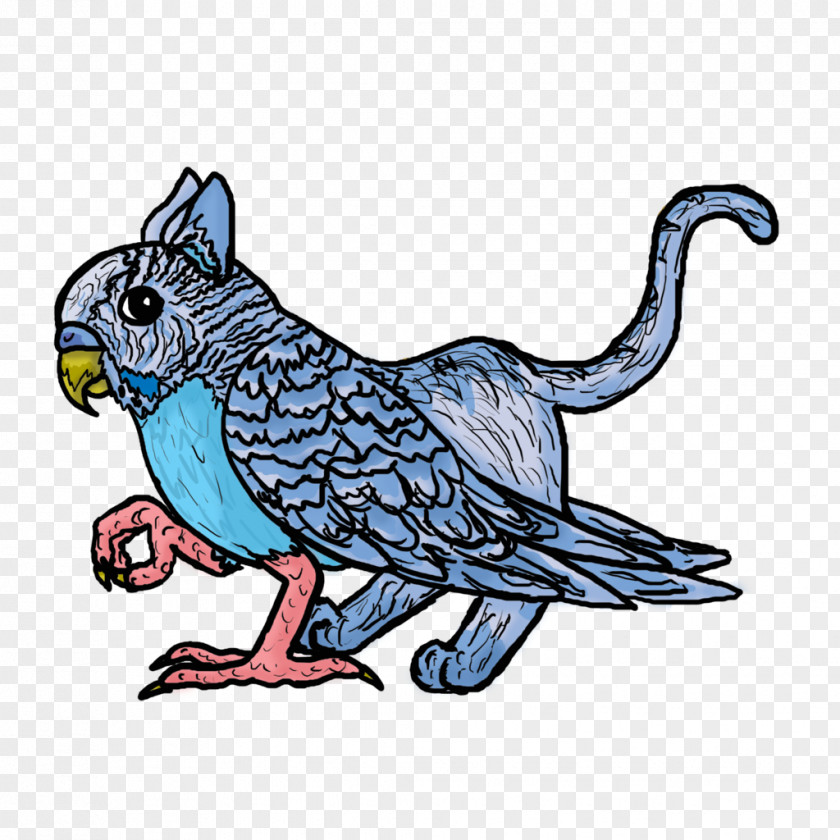Parrot Parakeet Budgerigar Drawing Clip Art PNG