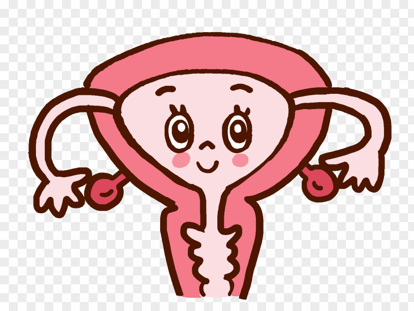 Pregnancy Uterine Fibroid 女性ホルモン Hormone Menstruation PNG