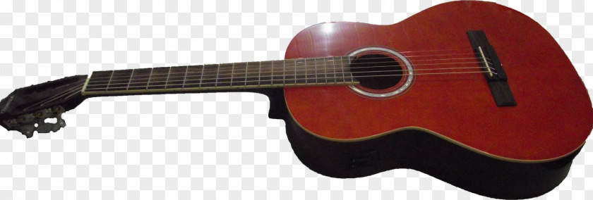 Renato Augusto Acoustic Guitar Electric Tiple Cavaquinho Cuatro PNG