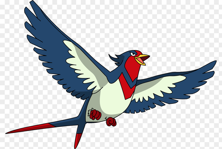 Swellow Pokémon Taillow Pokédex Aipom PNG