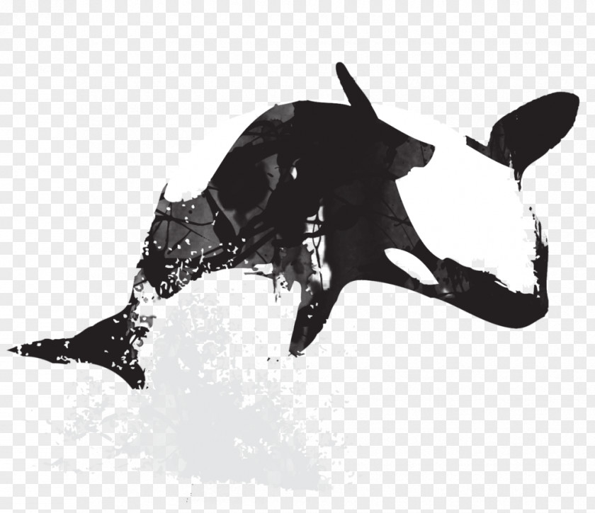 Animals Watercolor Killer Whale Art PNG
