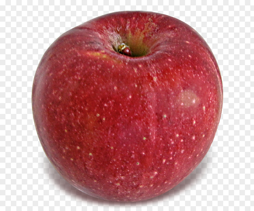 Apple McIntosh Red Pie Crisp Stayman Winesap PNG