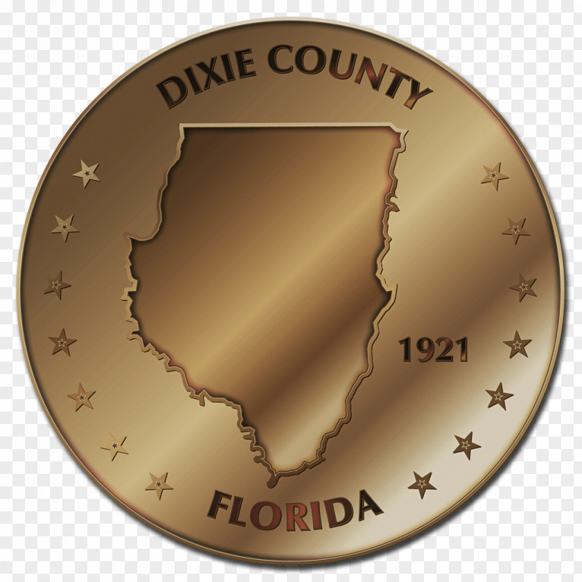 Bronze Coin PNG