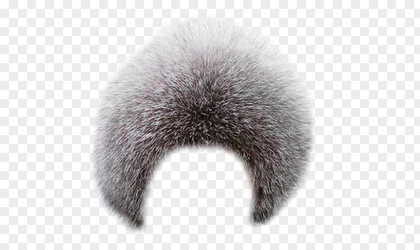 Cap Wig Fur Clothing Hair PNG