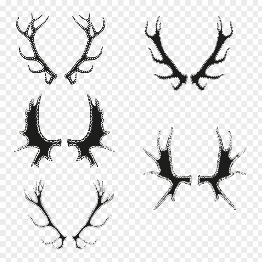 Google Images Antlers Deer Antler Design PNG