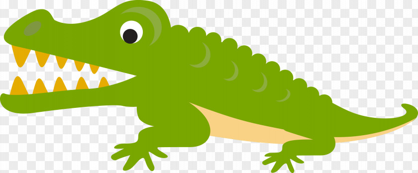 Green Crocodile Cartoon Vector Alligator Illustration PNG