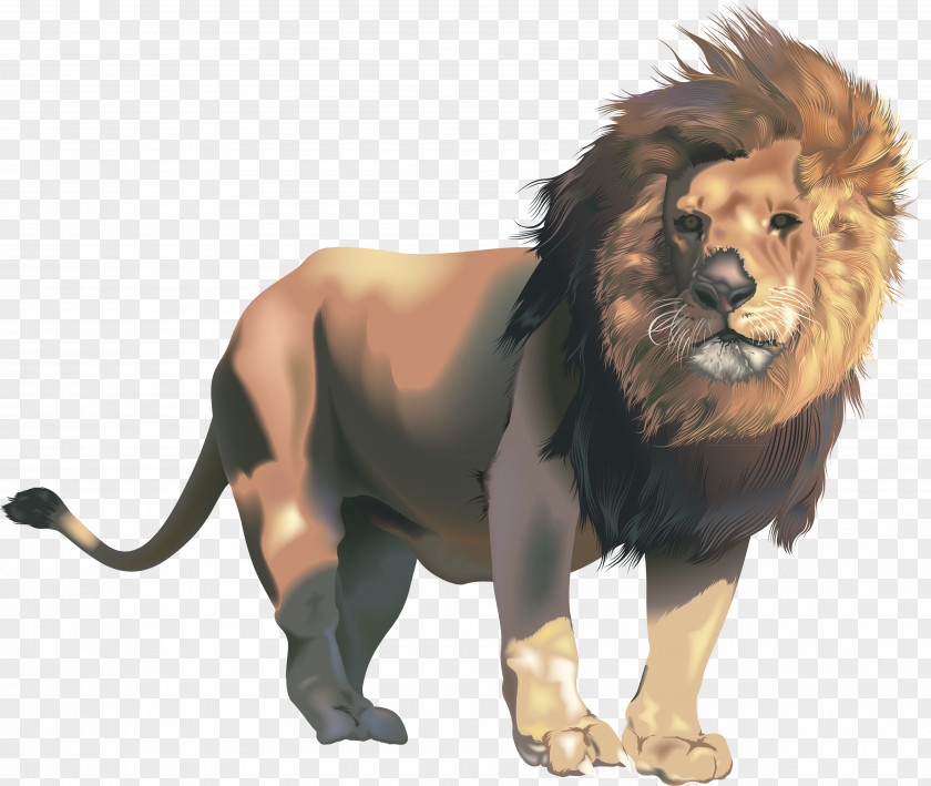 Lions Head Mighty Clip Art PNG