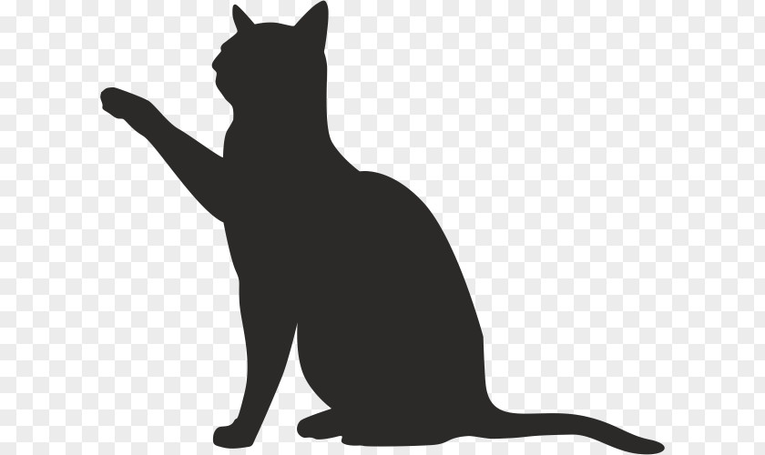 Cat Drawing Image Silhouette PNG