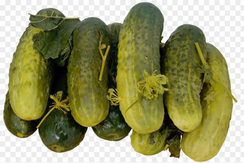Cucumber Pickled Spreewald Gherkins Pickling Food PNG