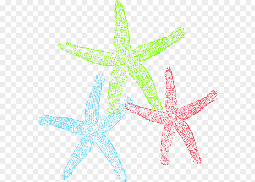 Domain Cliparts Free Content Starfish Royalty-free Clip Art PNG