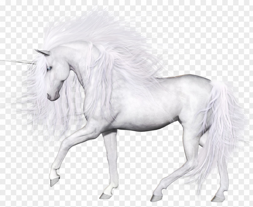 Unicorn Horse Transparency And Translucency Pegasus PNG