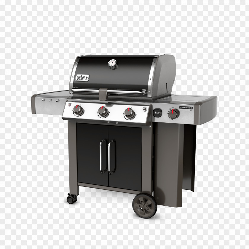 Barbecue Weber-Stephen Products Propane Natural Gas Burner PNG