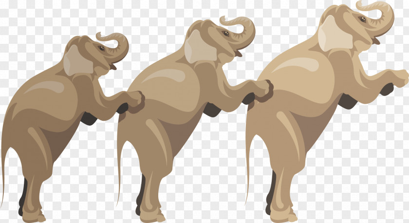 Brown Elephant Vector Dog Thailand PNG