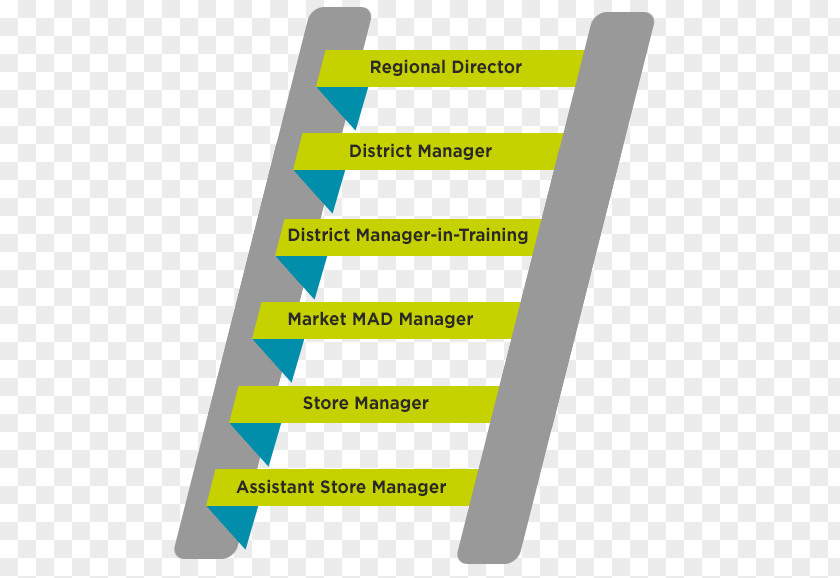 Career Ladder Retail Management Organization PNG