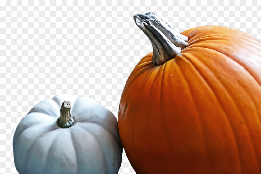 Fruit Orange Pumpkin PNG