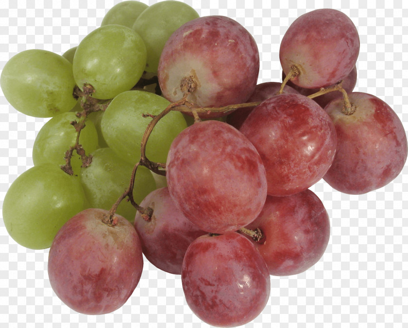 Grape Image Icon PNG