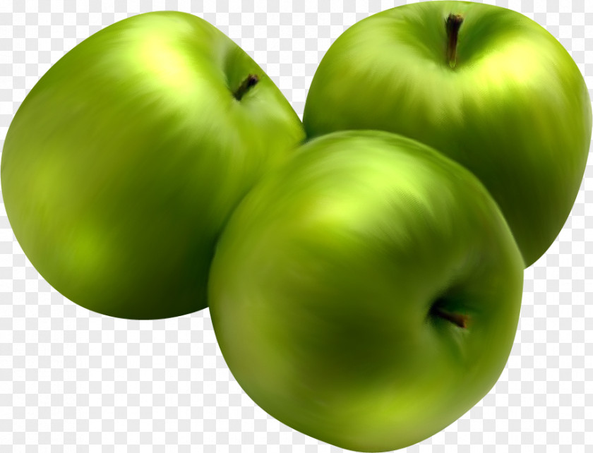 Green Apple Strudel Food Gala PNG