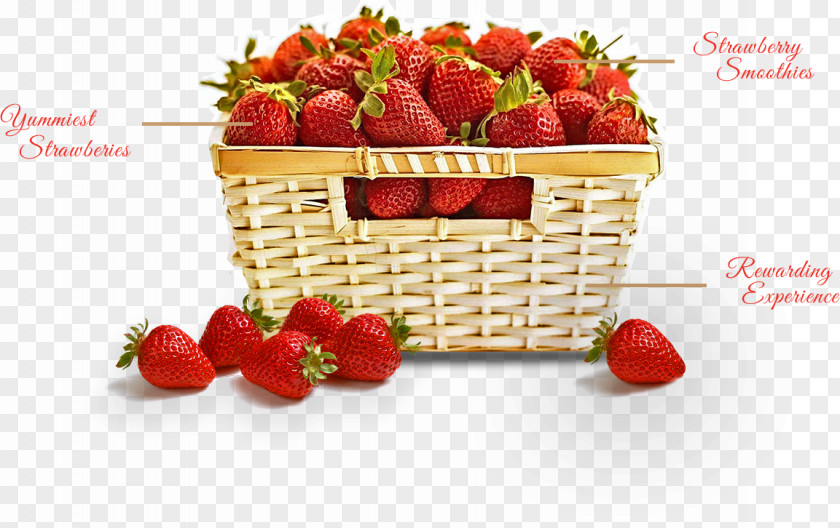 Red Strawberries Strawberry Shortcake Food Gift Baskets PNG