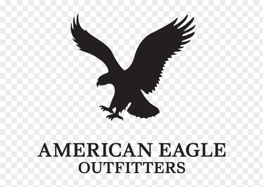 Transparent Eagle Logo American Outfitters Clothing Bald Brand Retail PNG