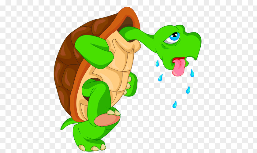 Turtle Vector Graphics Royalty-free Cartoon Illustration PNG