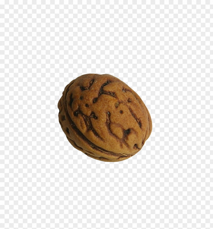 Beautiful Brown Walnut Chinese Chestnut Food PNG