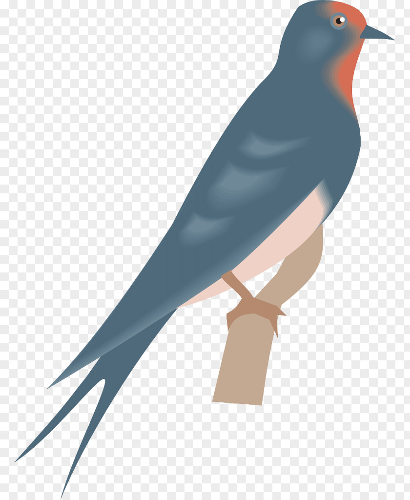 Bird Drawing Clip Art PNG