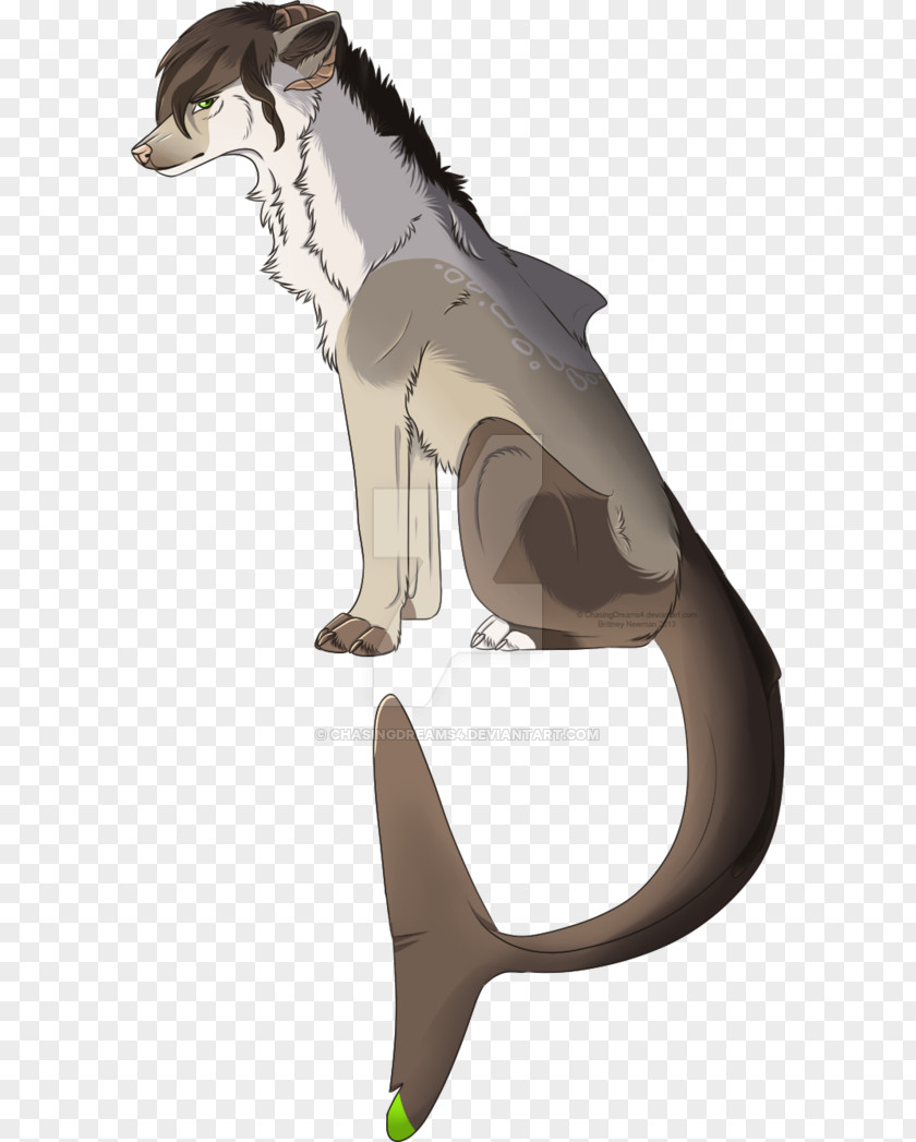 Cat Dog Cartoon Illustration Mammal PNG