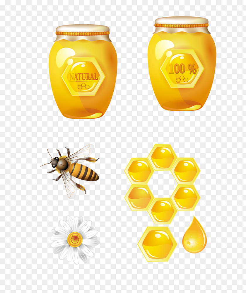 Delicious Honey Bee Honeycomb PNG