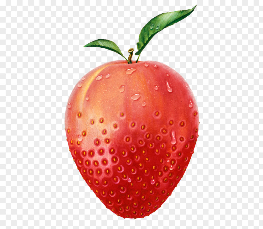 Painted Apple Strawberry Fruit Peach Illustration PNG