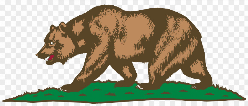 Bear California Republic Grizzly Flag Of PNG