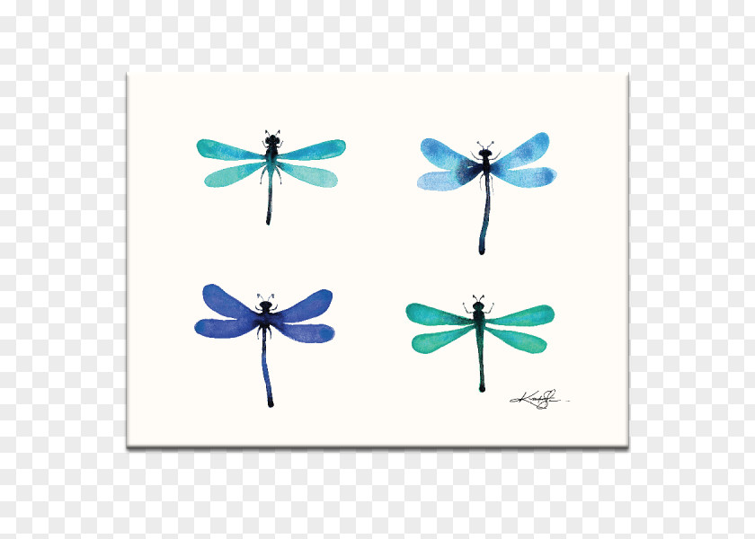 Painting Abstraction 30 Watercolor Abstract Art Dragonfly PNG